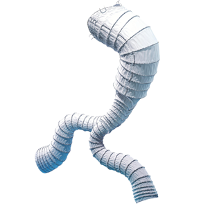 aorfix™ endograft system